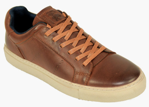 Tan Trainers - Bronx | Front
