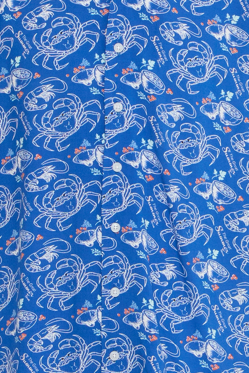 Summer Tour Blue Viscose Shirt - Ascot | Blend