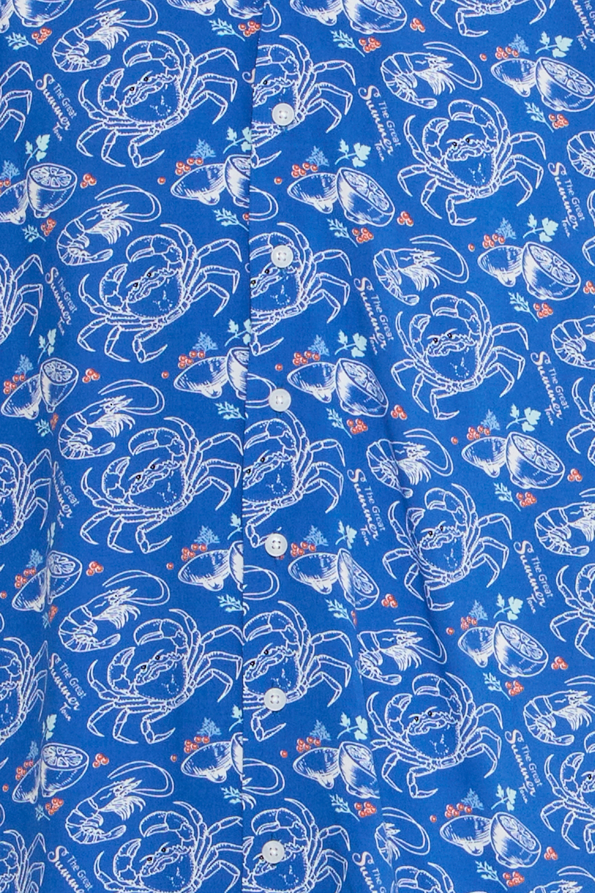 Summer Tour Blue Viscose Shirt - Ascot | Blend