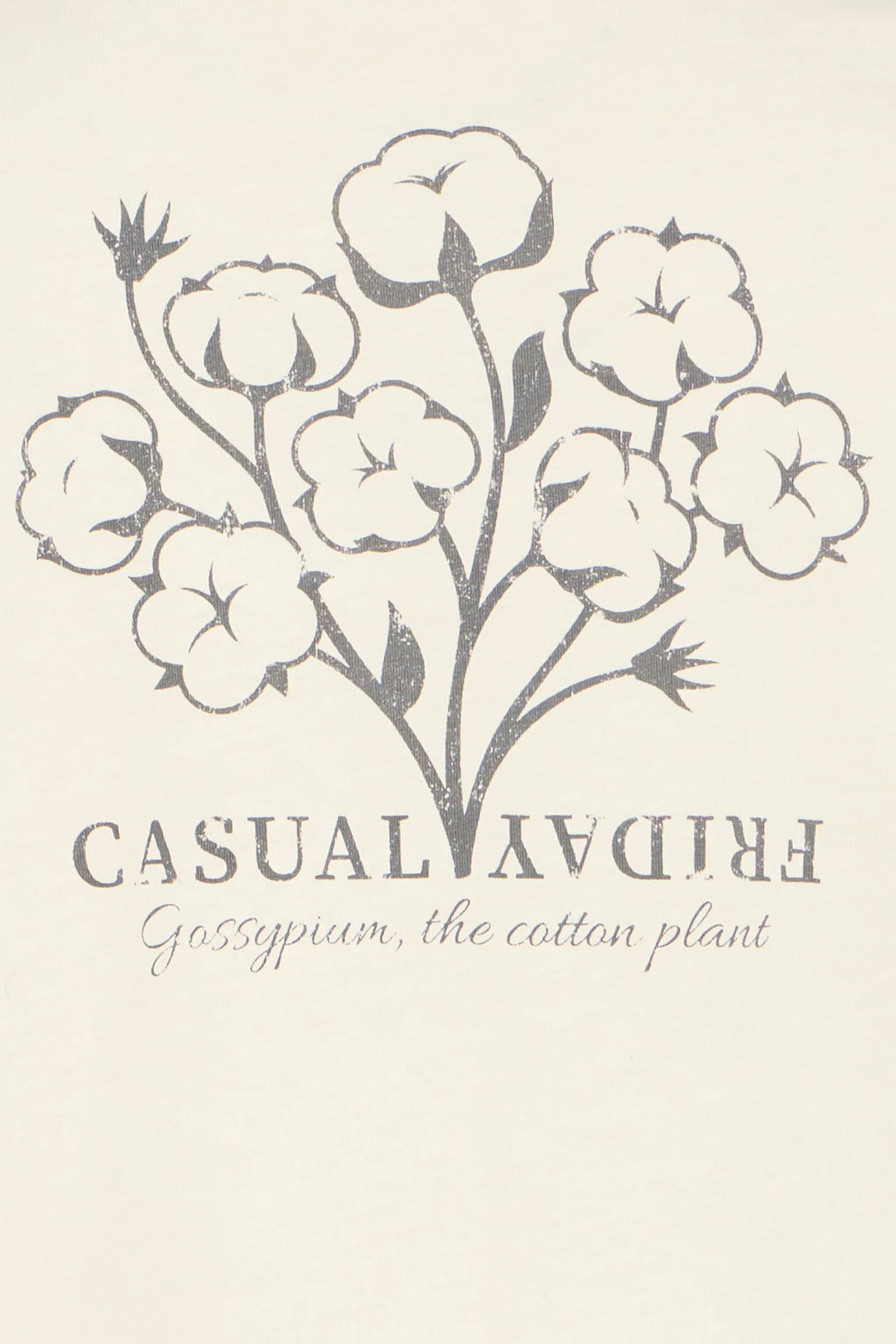 Turtledove Off-White Printed T-Shirt - Hargin | Casual Friday