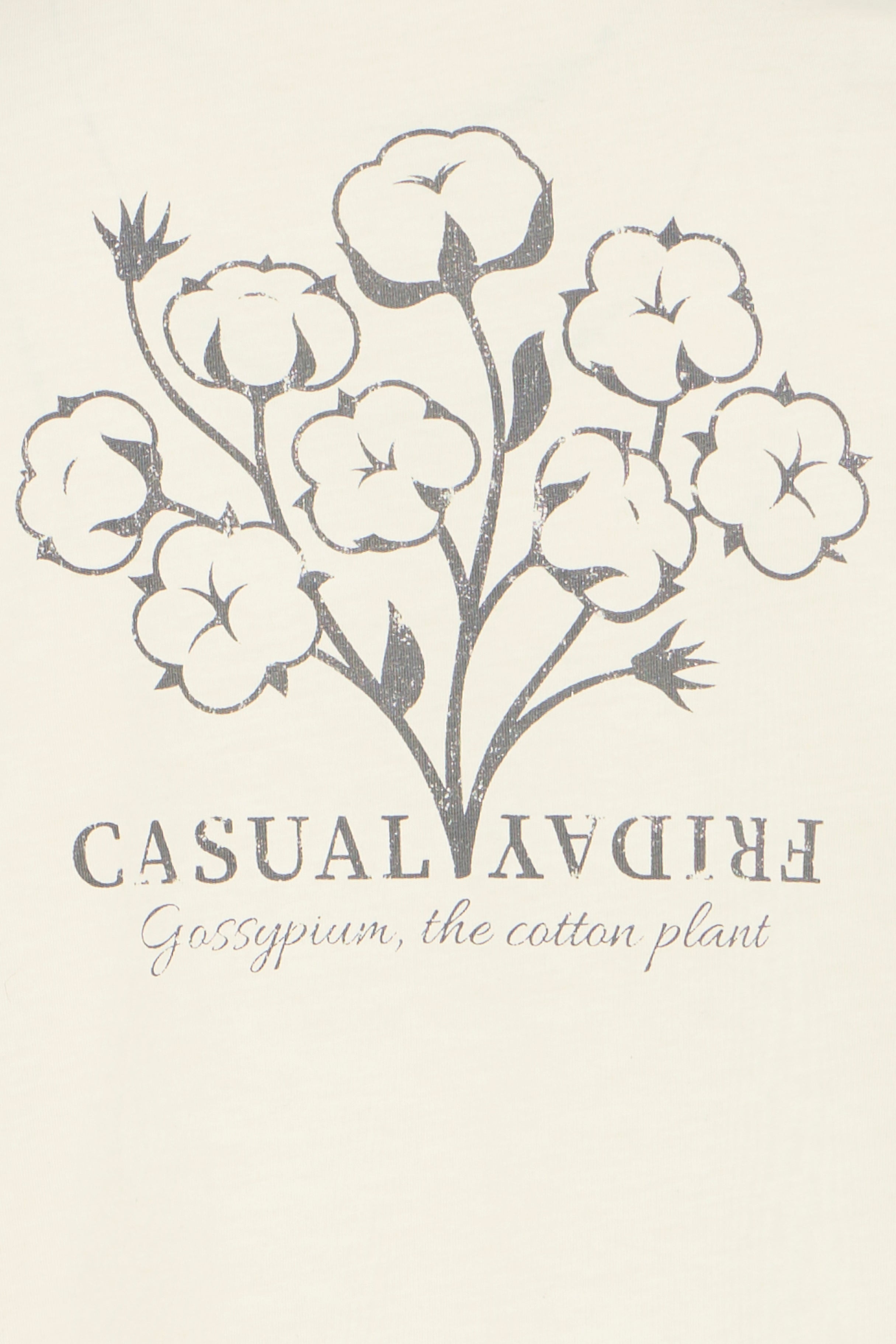 Turtledove Off-White Printed T-Shirt - Hargin | Casual Friday